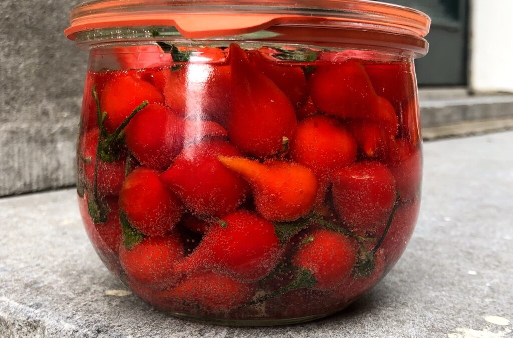 cherriepepper